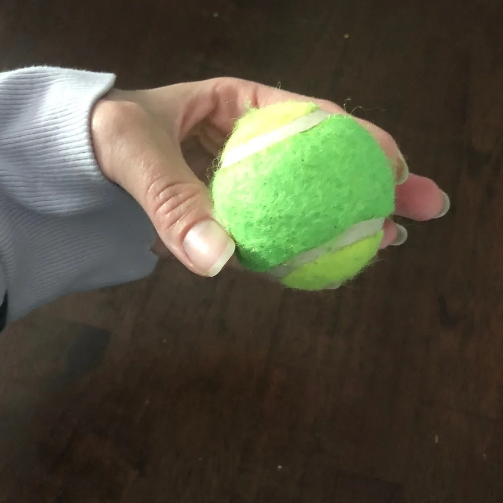 🛍️ Cat Tennis Balls Set with Bell Noise